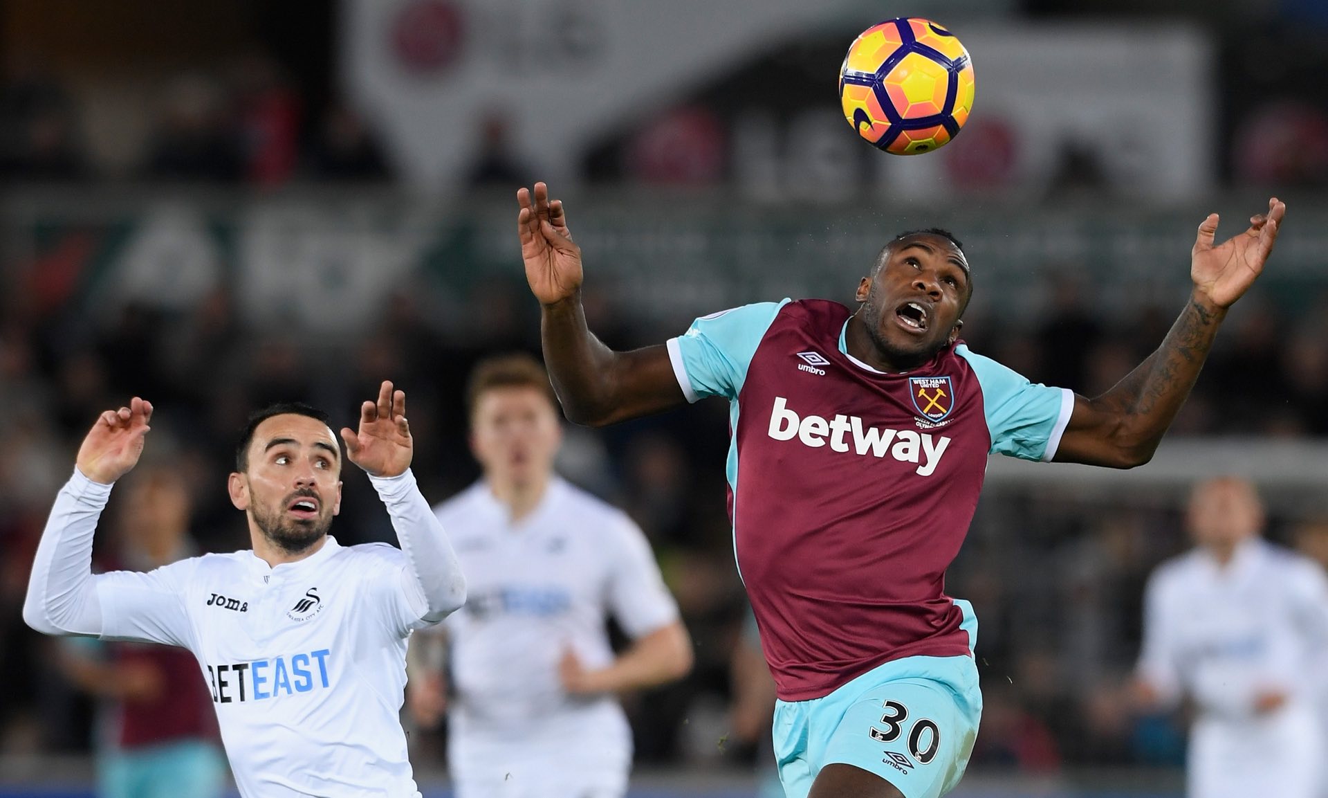 也奠定了他 也奠定了他